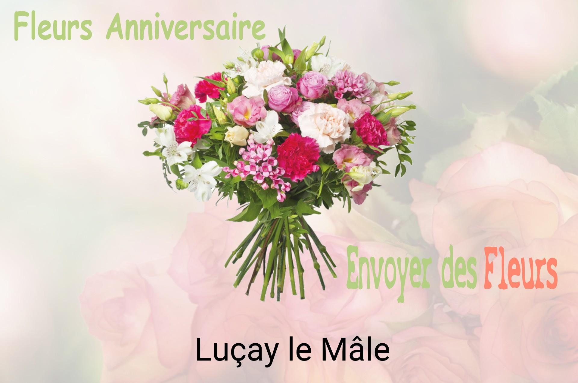 Bouquet de fleurs d’anniversaire livré à Luçay-le-Mâle