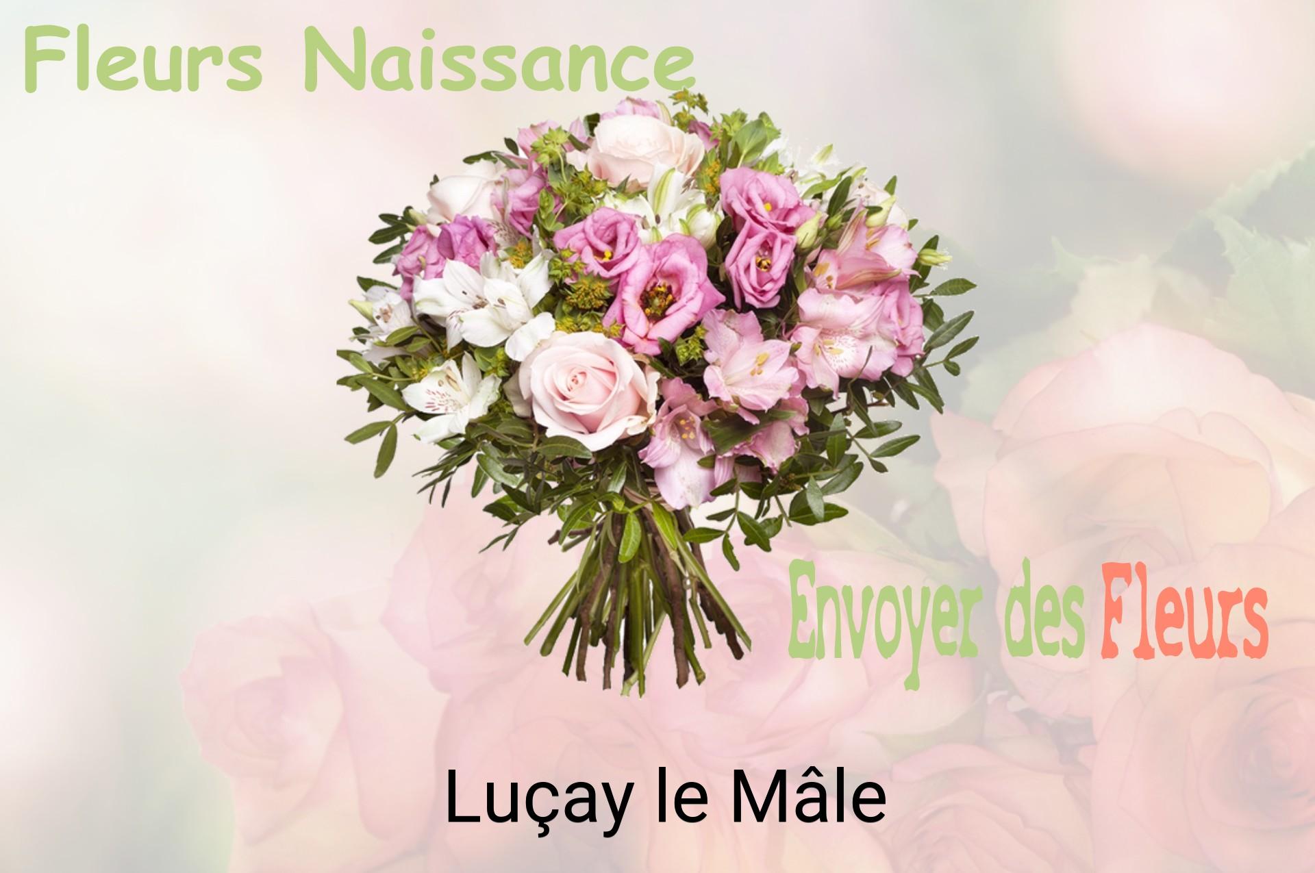 Bouquet de fleurs de naissance livré à Luçay-le-Mâle