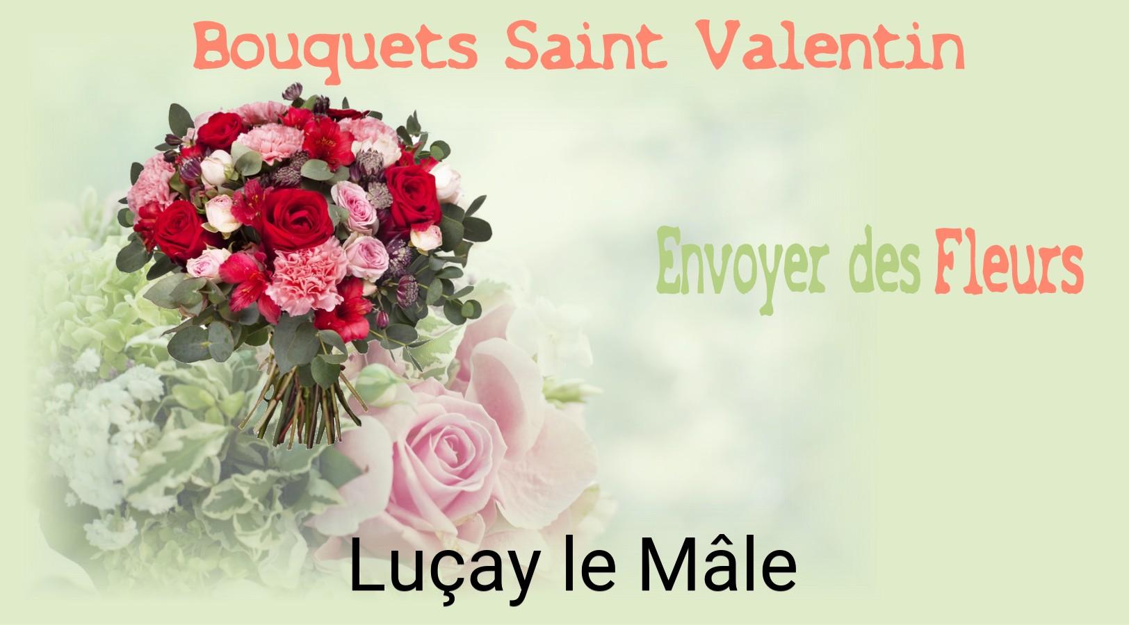 Roses de Saint-Valentin livrées à Luçay-le-Mâle