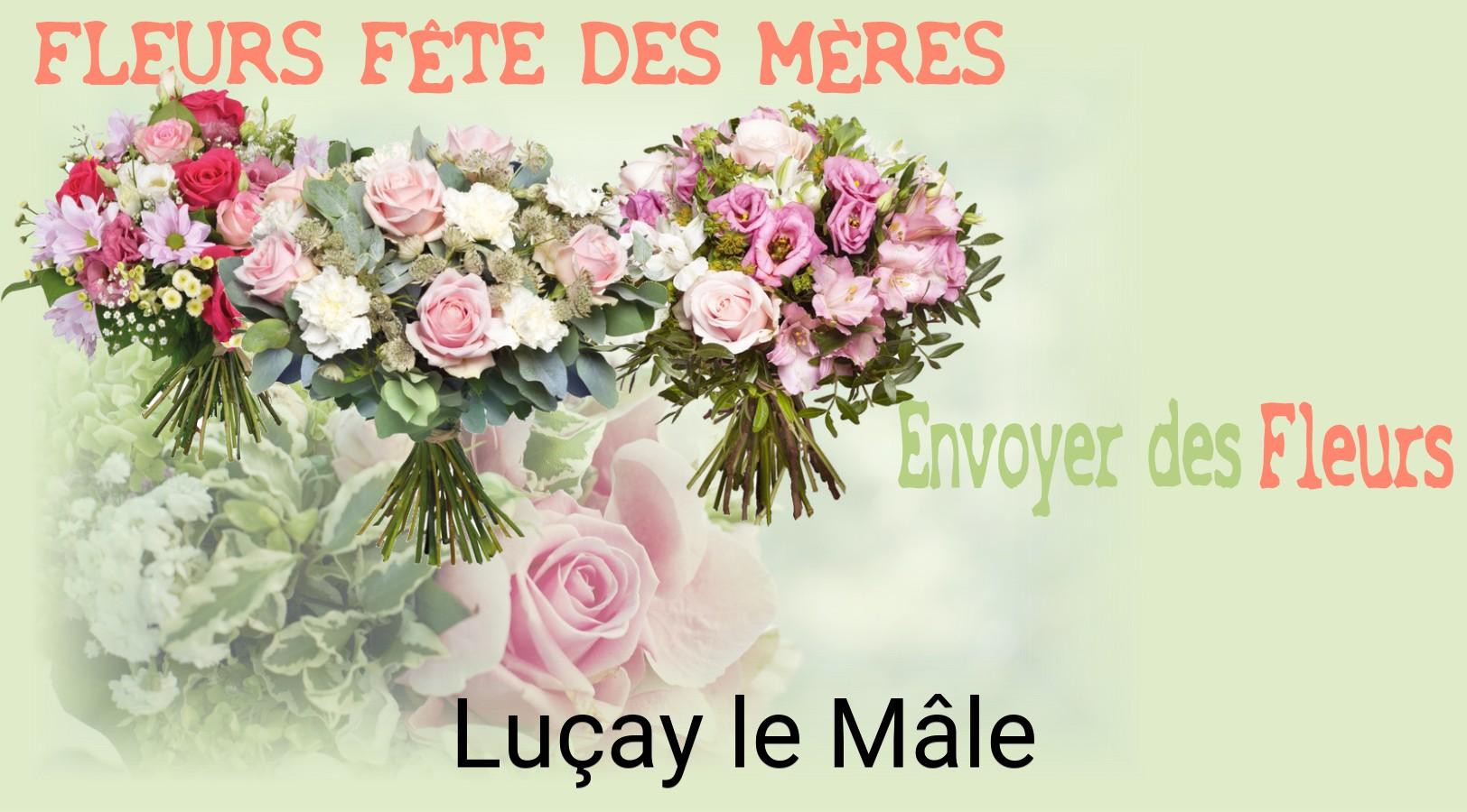 Bouquet de Fête des Mères livré à Luçay-le-Mâle
